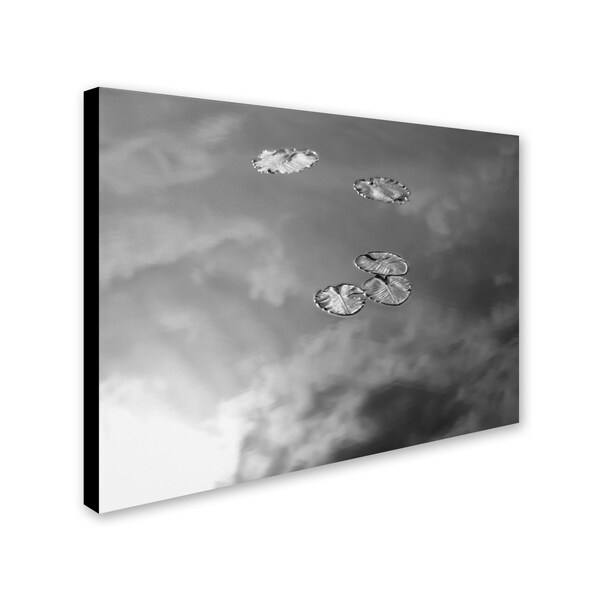 Patty Tuggle 'Lily Pads & Sky' Canvas Art,14x19